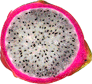 Drachenfrucht im Querschnitt