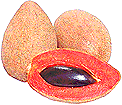 Sapote Mamey