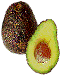 Avocado