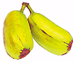 Wilde Banane