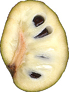 Cherimoya