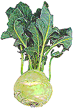 Kohlrabi