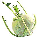 Kohlrabi