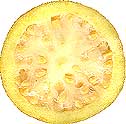 Guavenscheibe