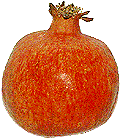 Granatapfel