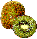 Kiwi