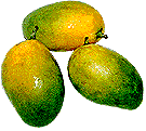 Mango Pansari