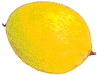 Gelbe Melone