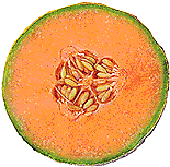 Melonenscheibe