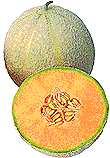 Melone