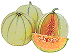 Melonen