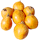 Loquats