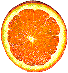 Orangenscheibe