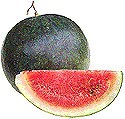 Wassermelone