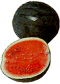 Wassermelone