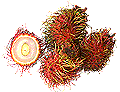 Rambutan