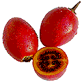 Tamarillos