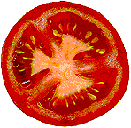 Tomatenscheibe