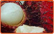 Rambutan